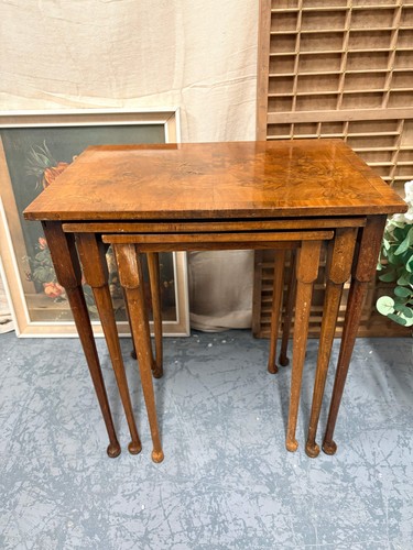 Nest antique burr walnut - burr,